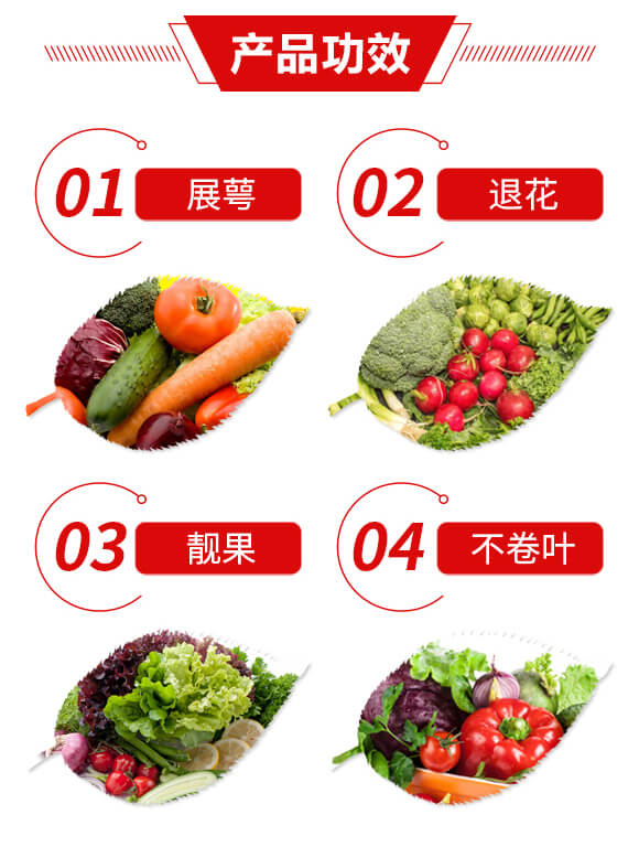 ���ѾG�������`-����-������A_03