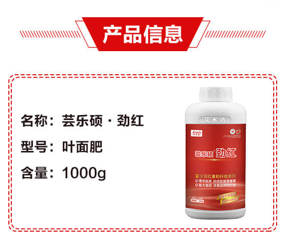 �|���T���żt-������_02