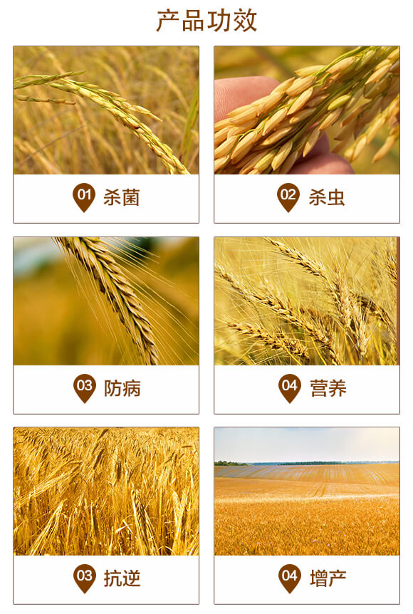 С���߮a�ײͣ���Ч��һ��-������-̩����_03