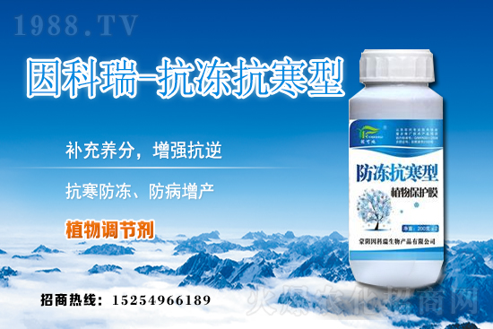 ���յ��ȃr������Xһ����2020��12��9�յ��ȃr������