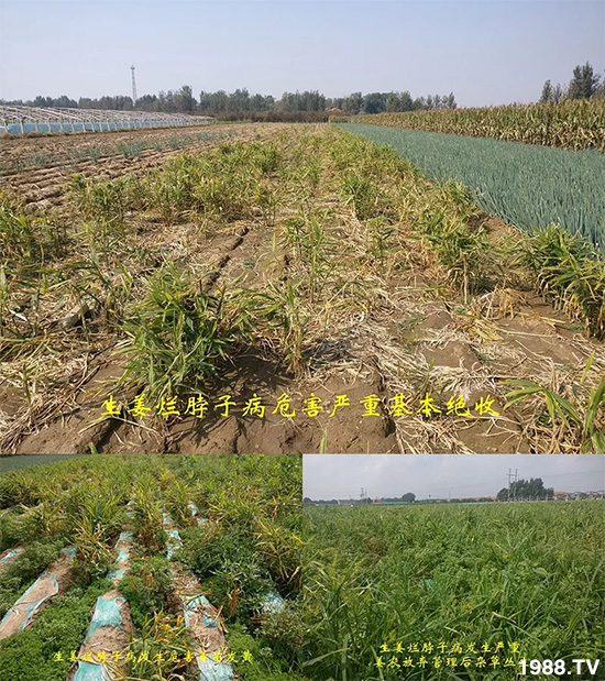     �l(f��)�������a(ch��n)Ʒ������أ�n������ʽ���ؠ����Ӳ����Ñ���������Ч����������