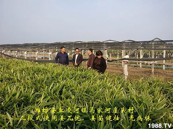     �l(f��)�������a(ch��n)Ʒ������أ�n������ʽ���ؠ����Ӳ����Ñ���������Ч����������