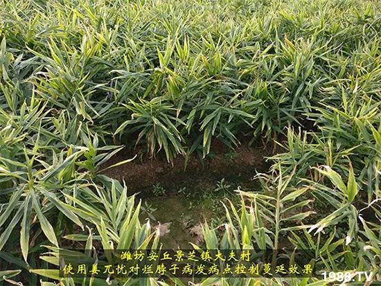     �l(f��)�������a(ch��n)Ʒ������أ�n������ʽ���ؠ����Ӳ����Ñ���������Ч�������ˣ�