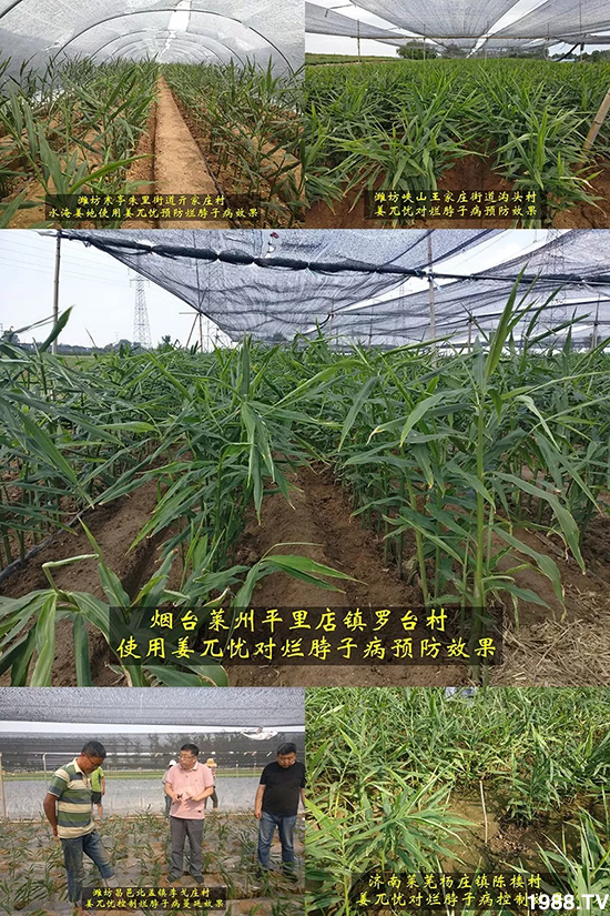     �l(f��)�������a(ch��n)Ʒ������أ�n������ʽ���ؠ����Ӳ����Ñ���������Ч�������ˣ�