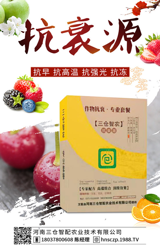 ���·��m�ϷNֲʲô�߲������·��߲˷Nֲע�����(xi��ng)��