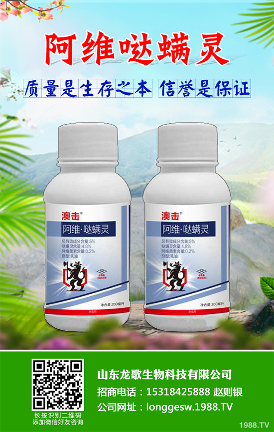 ɏź���x���r��