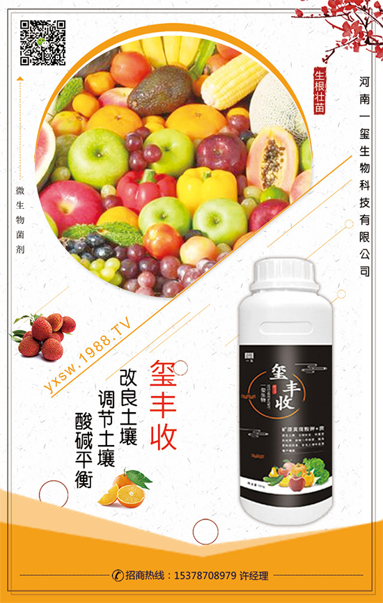 ���Ĳ�ʲô�r(sh��)�g���ࣿ���Ĳ˵�����Ҫ�c(di��n)��