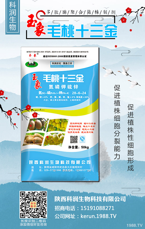     ���裺�����B�m(x��)�q�r�����L�U��᣿2020-3-13��������r��