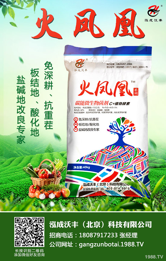 常見果樹蛀干害蟲有哪些,果樹蛀干害蟲如何消滅?