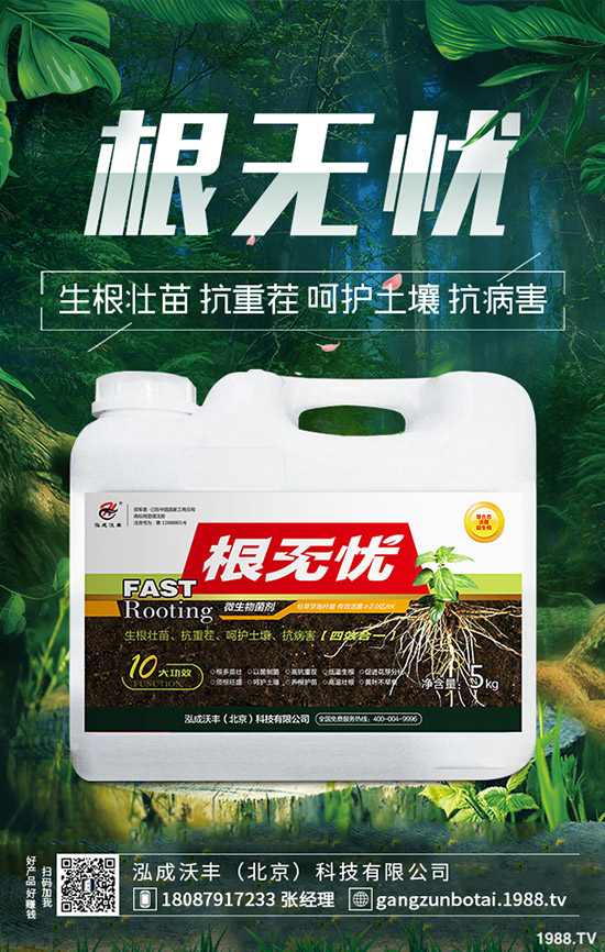 豆角鉆心蟲危害大、抗性大怎么辦?豆角鉆心蟲綜合防治!