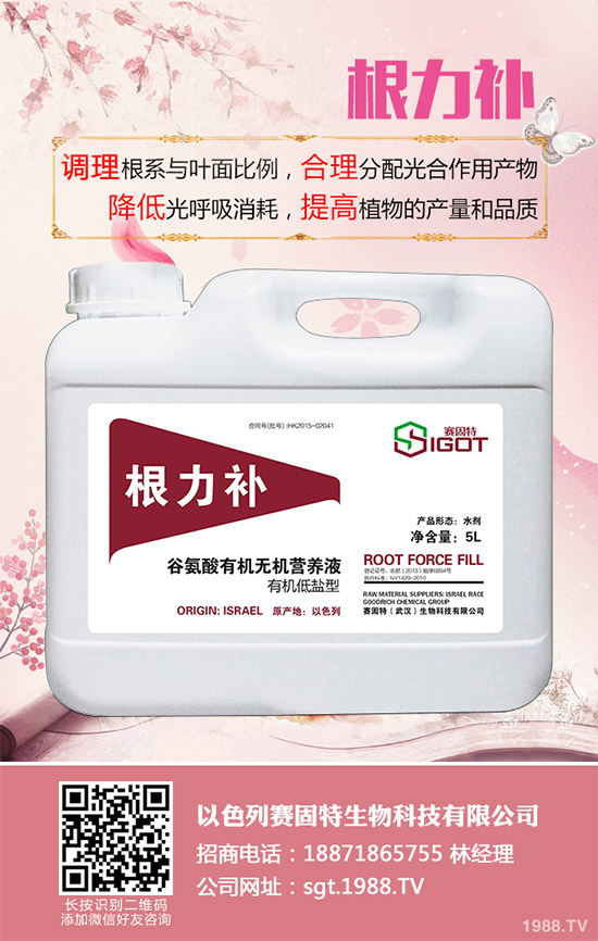 С��������Ҋ�Ĳ�������Щ��ԓ��η���������С���������η�����B