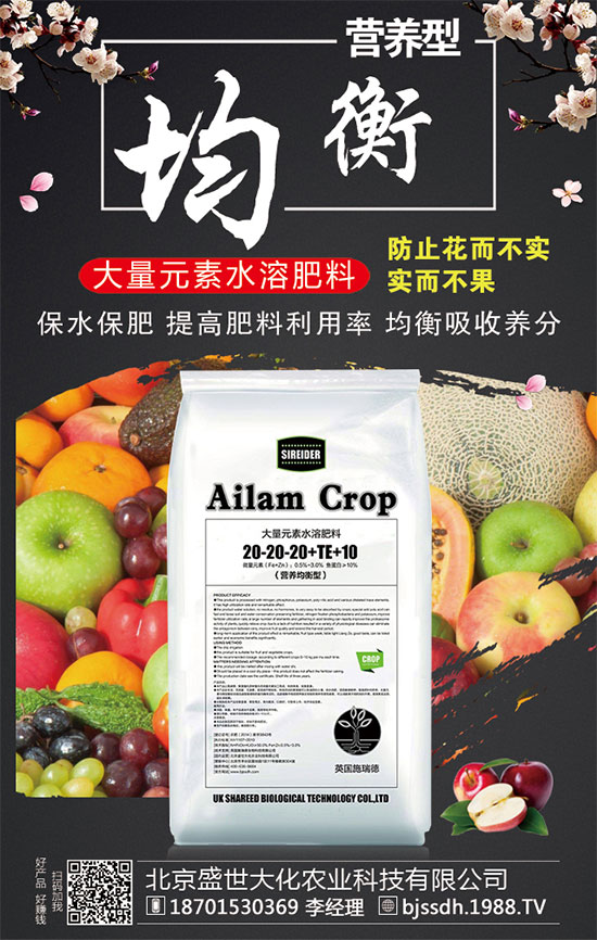 ����������С����ʲôΣ����С���������a�ȴ�ʩ��