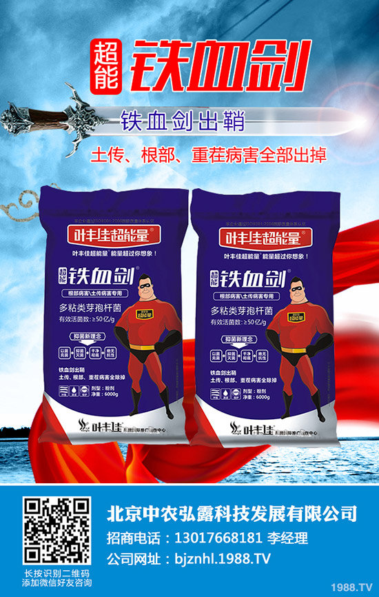 溫室番茄白粉虱的危害,溫室番茄白粉虱怎樣防治?