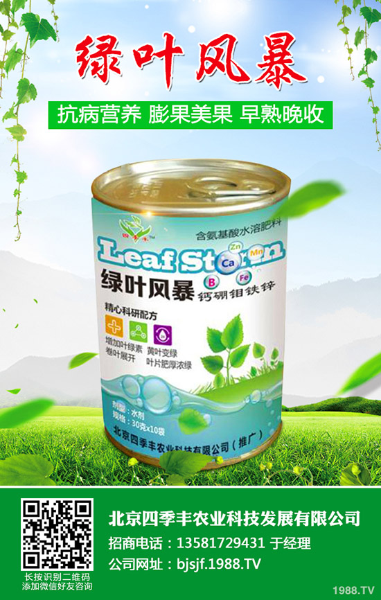 辣椒白粉病為何難防治?辣椒白粉病發(fā)病原因及防治!