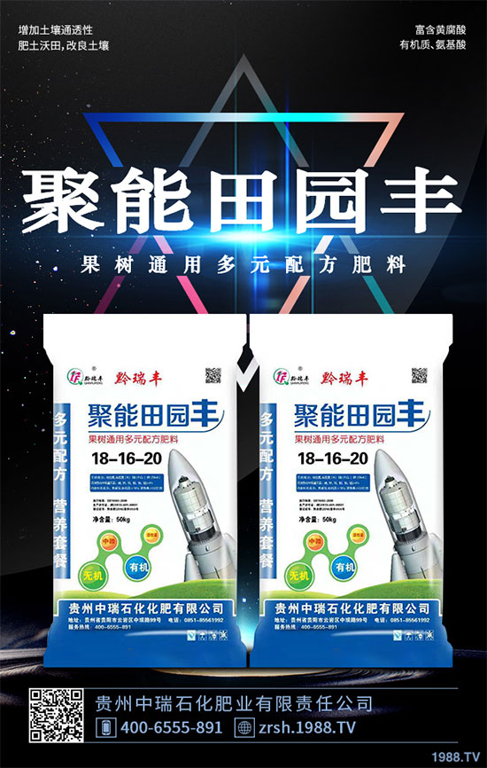 雷丸又稱竹鈴芝、雷實、竹苓、竹兜菌,是一種常用的藥用菌,與茯苓、豬苓并列為“三苓”。具有殺蟲消積的功效,常用于絳蟲、鉤蟲、蛔蟲、蟲積、小兒疳積等病癥,F(xiàn)今市場雷丸供藥多以野生為主,而人工目前少有栽培;雷丸種植對環(huán)境要求比較苛刻,喜溫暖氣候地區(qū),以林中潮濕潤地為宜,但田間管理簡易,只需注意溫度和干旱就行。那么,雷丸該怎么種?雷丸的種植方法及田間管理要點有哪些呢?