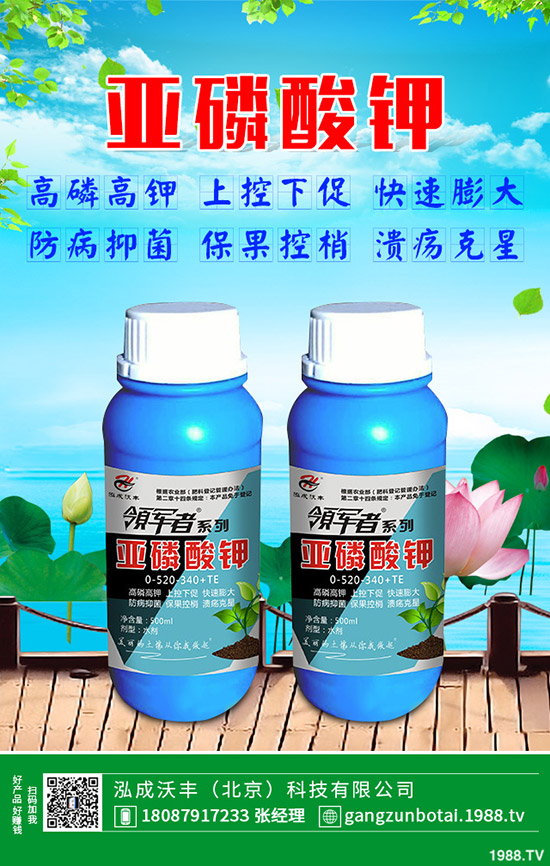 �ЙC(j��)�߲��c�o�����߲˵ą^(q��)�e���o�����߲���η��x��