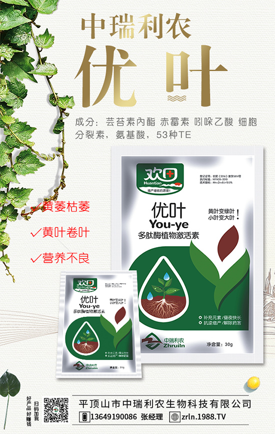 ����ʲô�r(sh��)�g�Nֲ�����������ڹ���Ҫ�c(di��n)��