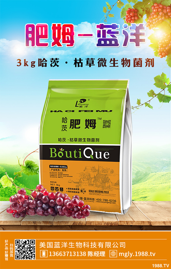 ������(sh��)ԓ��ηNֲ�����������p�ɷN���߮a(ch��n)������