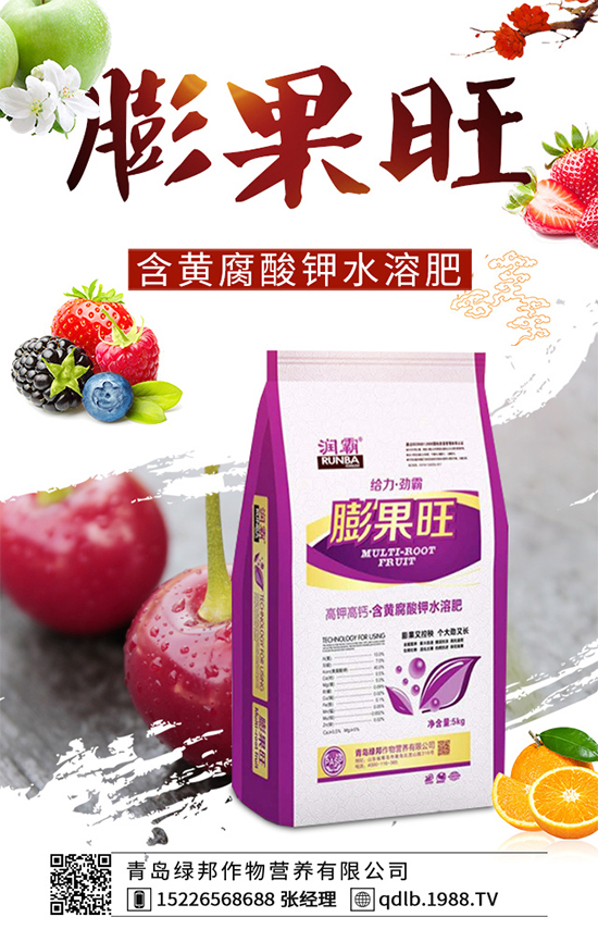 菜菔子有哪些神奇功效?萊菔子的功效作用及食用禁忌