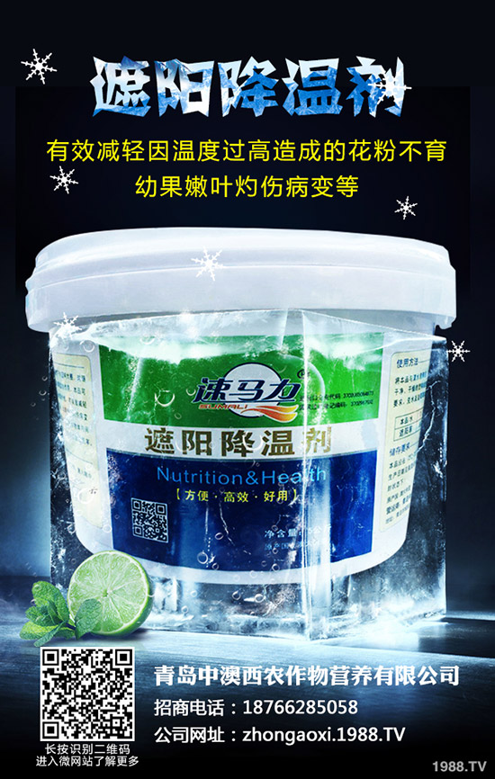 ��Ʒ�|(zh��)��Ҭ����ôʩ�����������@���c��