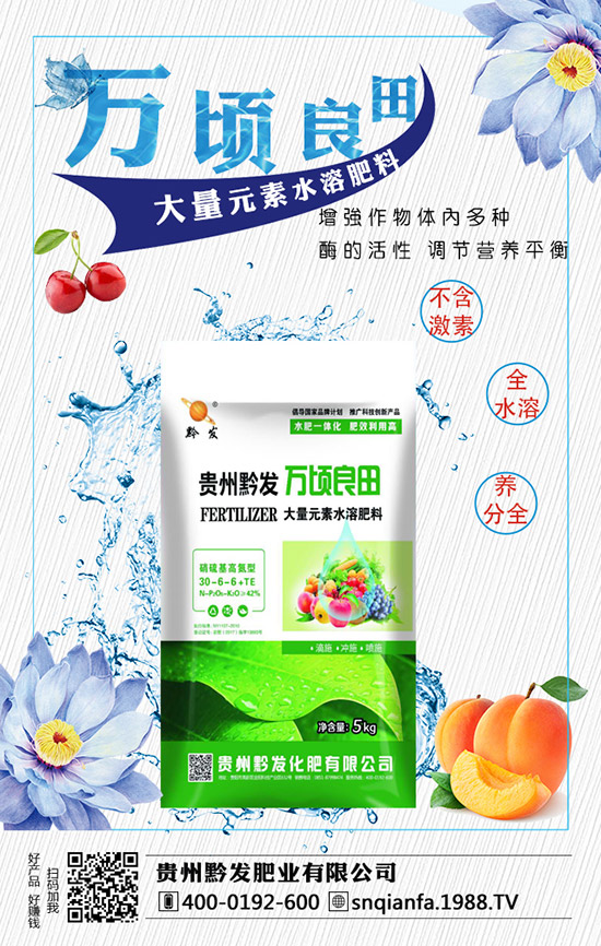西蘭花育苗技術(shù)有哪些，西蘭花育苗的注意事項！