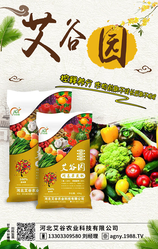 �O����ʩ�ʲ�����ʺ������ҽ�������A(y��)���ʺ���