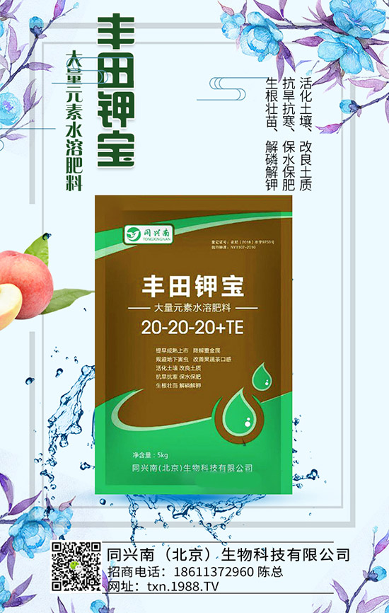 豌豆什么時(shí)候種，豌豆種植時(shí)間及種植要點(diǎn)！