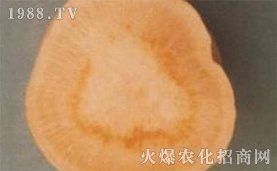     �}�����Ĳ��İY����}�����Ĳ��ķ�����