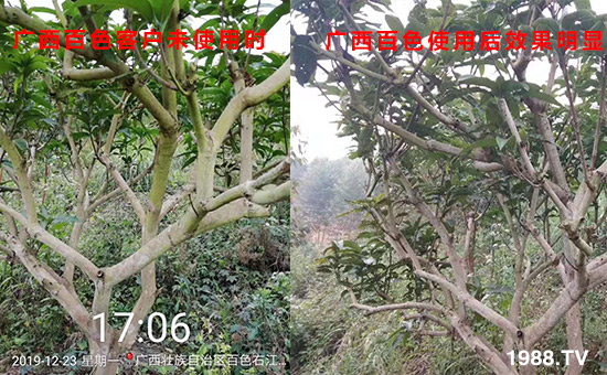 �V����ɫ�͑�δʹ�Õr��ʹ�ú�Ч�����@��