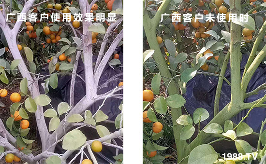 �V���͑�ʹ��Ч�����@��δʹ�Õr��