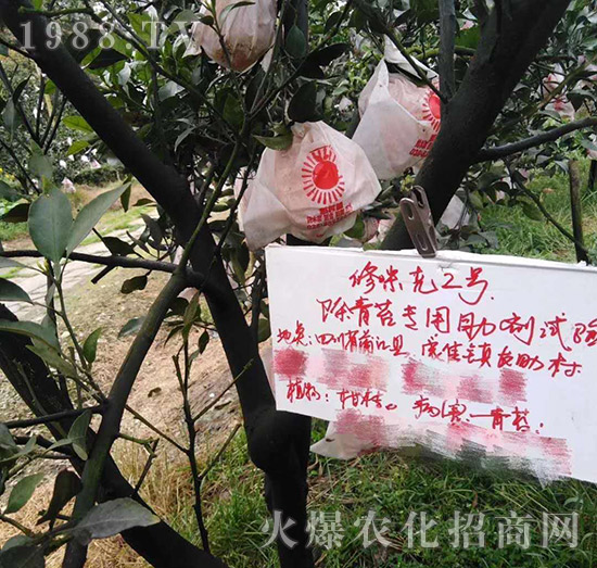 �Ĵ�����������(sh��)򞷴��