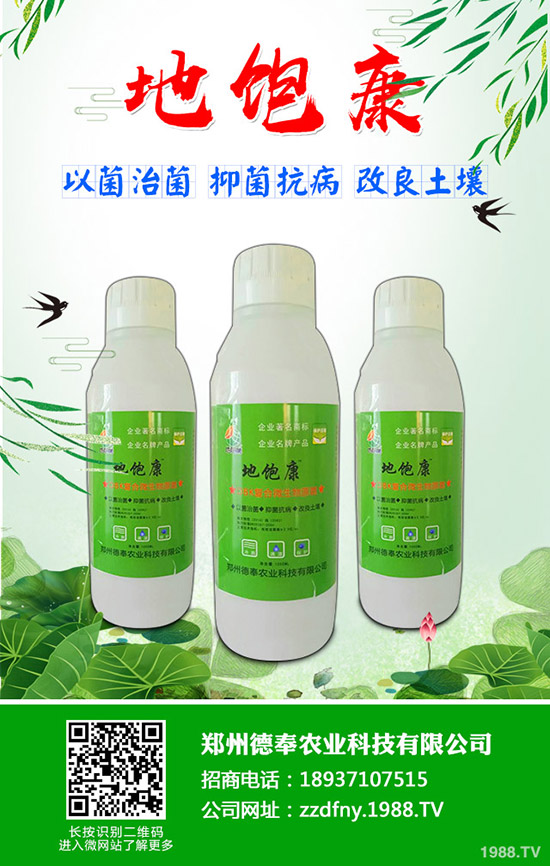 �ϹϺ��ǲ�����Щ�Y�����ϹϺ��ǲ����η���