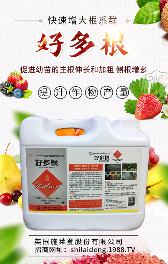 ����������ʲô�r(sh��)��Nֲ�ã����˷Nֲ���g(sh��)Ҫ�c(di��n)����Щ��	