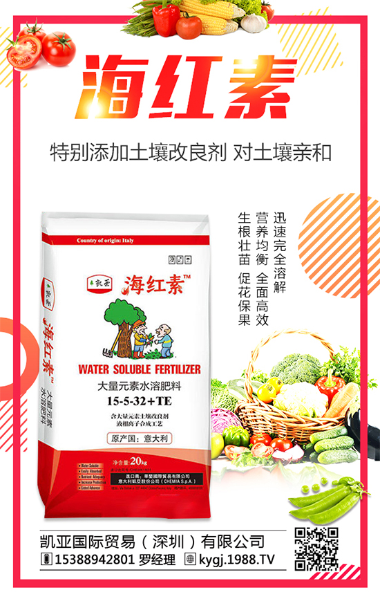 �����Nֲ�l(f��)չ�ĬF(xi��n)������������߮a(ch��n)�Nֲ���g(sh��)Ҫ�c(di��n)��