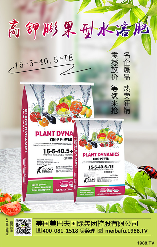 �ϹϷ��Ďׂ����L�A�����Ϲό��������I�B(y��ng)Ҫ��