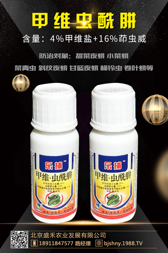 小麥紅蜘蛛的發(fā)生規(guī)律有哪些？小麥紅蜘蛛防治措施！