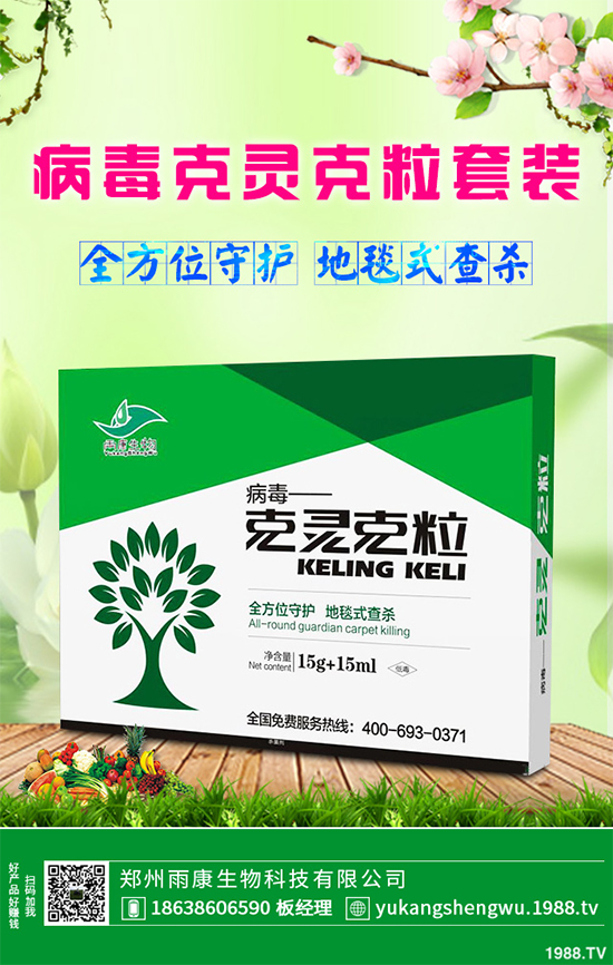 �W�ˌ�Ҫ���á���ɭ�i�\����