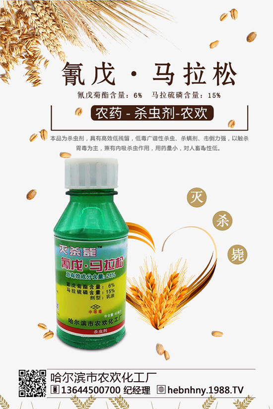 �޻����x(ch��ng)���r(ji��)������