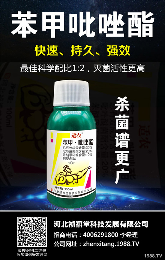 ������������~���򊙊����t��ǰ������