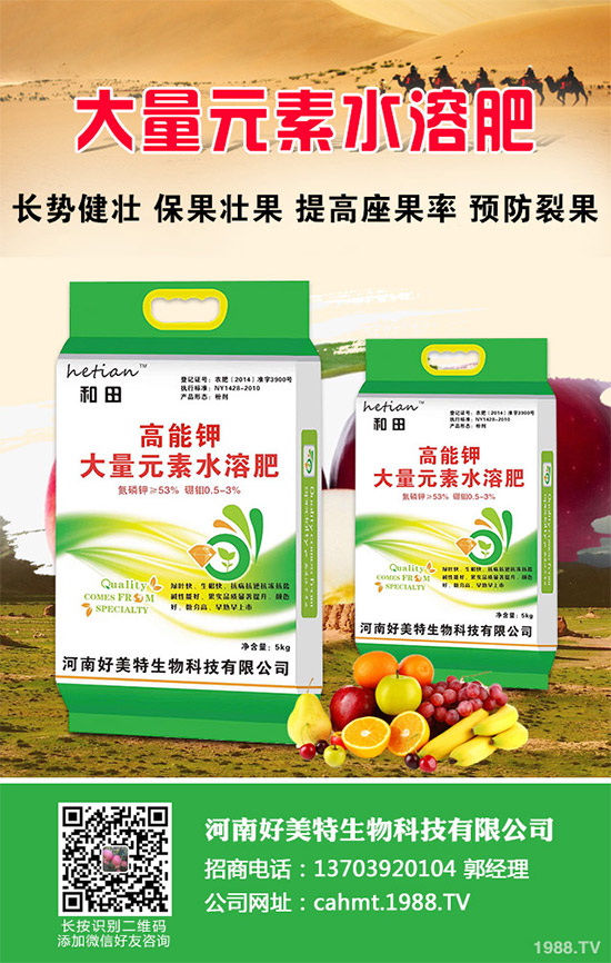 ��(x��)���[��ηNֲ���ܸ߮a(ch��n)����Ҫע��ʲô���@�傀(g��)С���ɷ���һ����