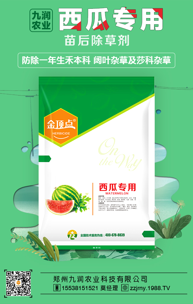 ���ݾŝ��r�I(y��)�Ƽ����޹�˾