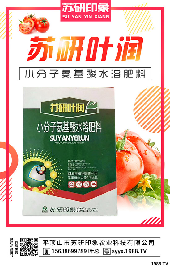 馬鈴薯該如何覆膜種植？馬鈴薯覆膜種植技術(shù)要點(diǎn)及存在的問(wèn)題