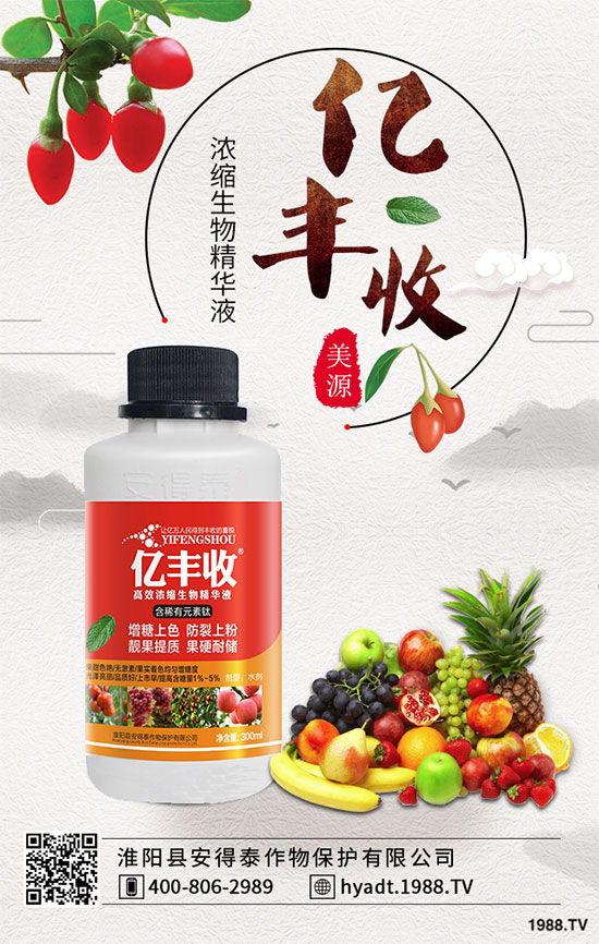 西葫蘆栽培品種有哪些？ 西葫蘆的生長習(xí)性！