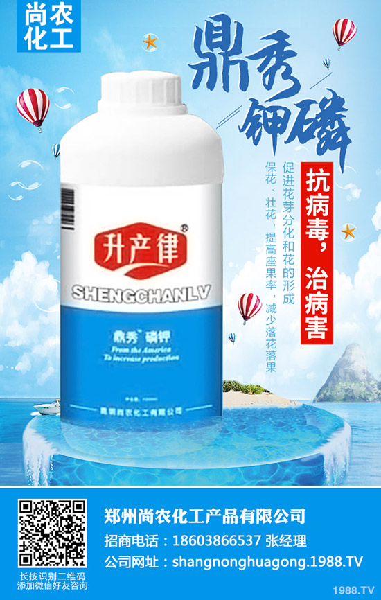     ���{(l��n)���Y(ji��)����ô�k�����{(l��n)���Y(ji��)��ԭ�򼰷��δ�ʩ��