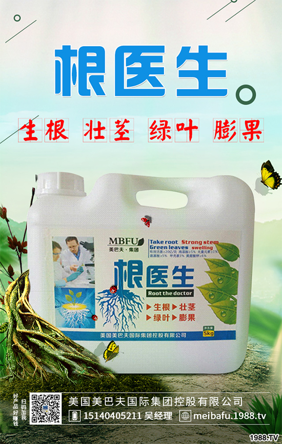 ������ʲô�r�򲥷N���������Ĳ��N�r�g��ע�����