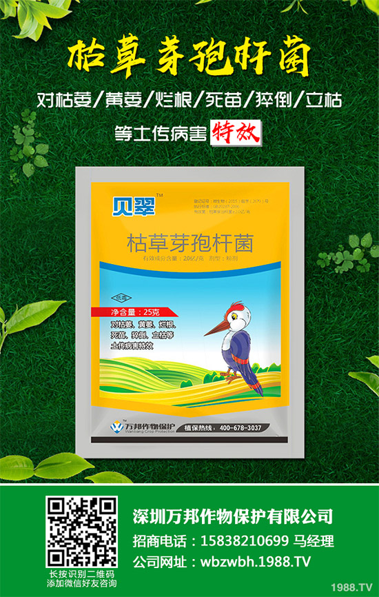 С����ù��ˎ������Ч����������׃����