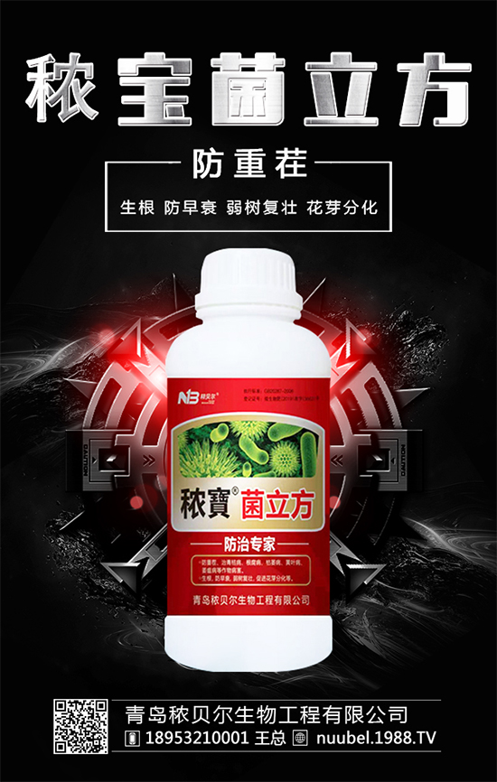 ����ʲô�r(sh��)����Բ��գ����պ�İ�����ô̎����