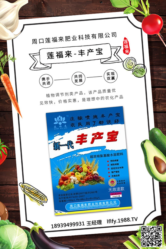 珠子參種子育苗要點(diǎn),珠子參種植方法及田間管理!