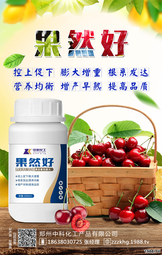 油麥菜有哪些營養(yǎng)價值?常吃油麥菜那些神奇效果?一起看看吧!