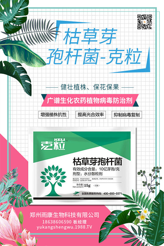 ��(gu��)��(n��i)��(d��)��(chu��ng)��ֲ��Դ����(x��)��ˎ���ذ���(l��i)�u��